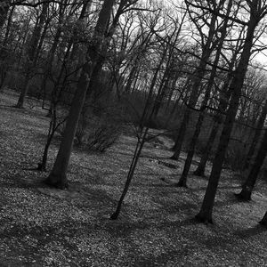 Meet your Posher, Gage